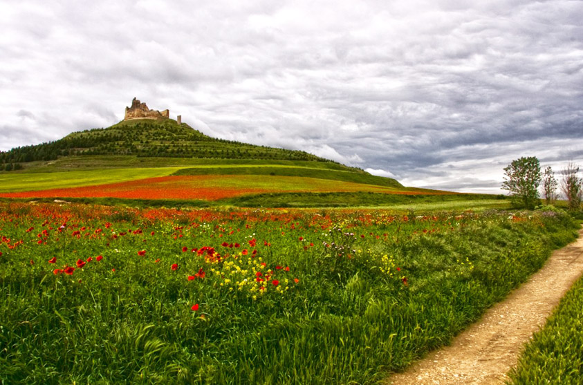 Castillo de Castrojeriz