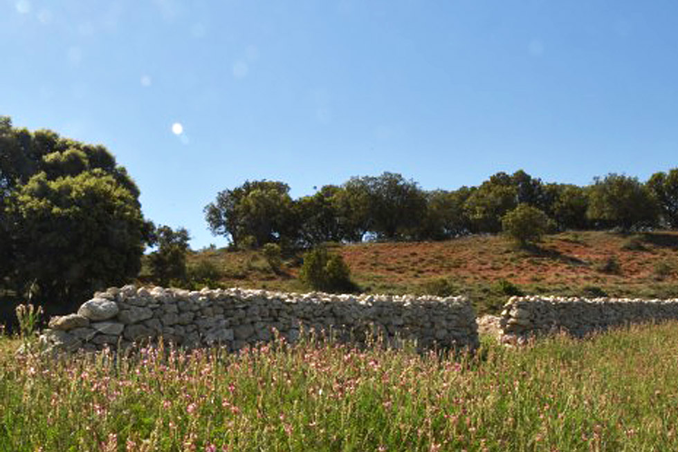 Finca Malayerba